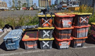 D22NYCContainerLoadOut.3.jpg