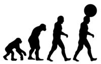 Evolution logo.jpg